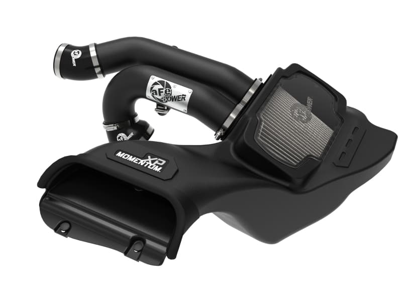 intake  aFe Momentum XP לפורד F-150