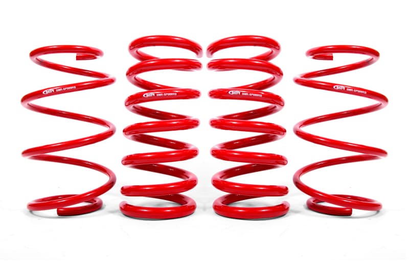 BMR Suspension קפיצי הורדה BMR לרכב שטח